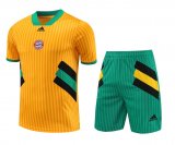 23/24 Bayern Munich Yellow Soccer Training Suit Jersey + Short Mens