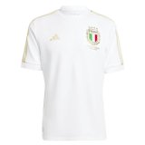 (Special Edition) 2023 Italy 125th Anniversary Soccer Jersey Mens